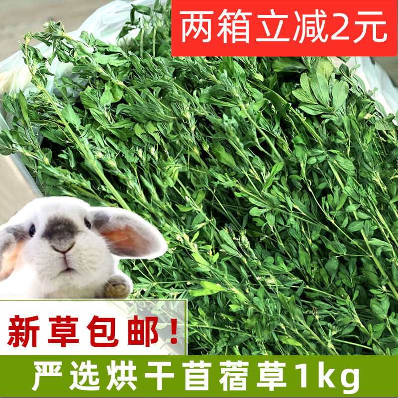 2022 new alfalfa grass rabbit chinchilla grass young rabbit food guinea pig feed hay gross weight 1000 grams