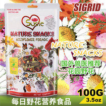 Sweet Bi Bitian daily wild flower nutritional food rabbit chinchilla guinea pig beautiful hair flower snacks 100g