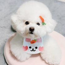 Rabbit Pet Containment Full Dog Breeds Teddy Bib Bear Gold Wool beauty scarf Cat Collar Flowers Accessories puppies Saliva Scarves