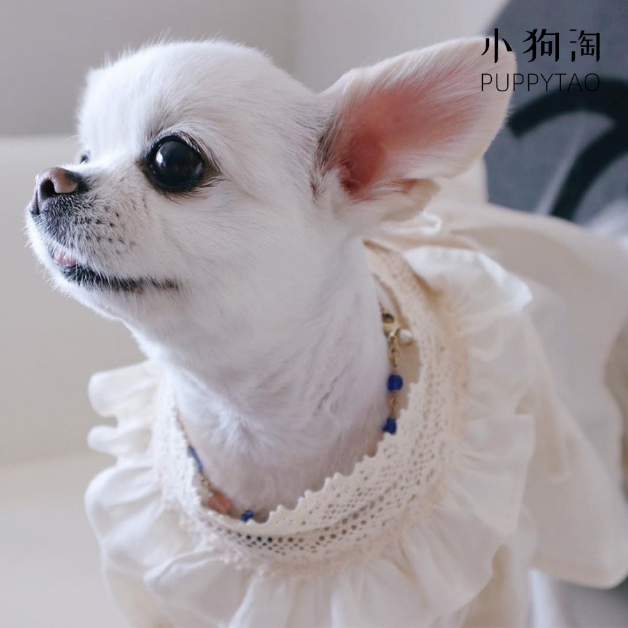 New Korean version Rework lace Pet Dress Mini Dog Teddi Sisi Chi Doll Fairy Dress Cat Dog Clothes-Taobao