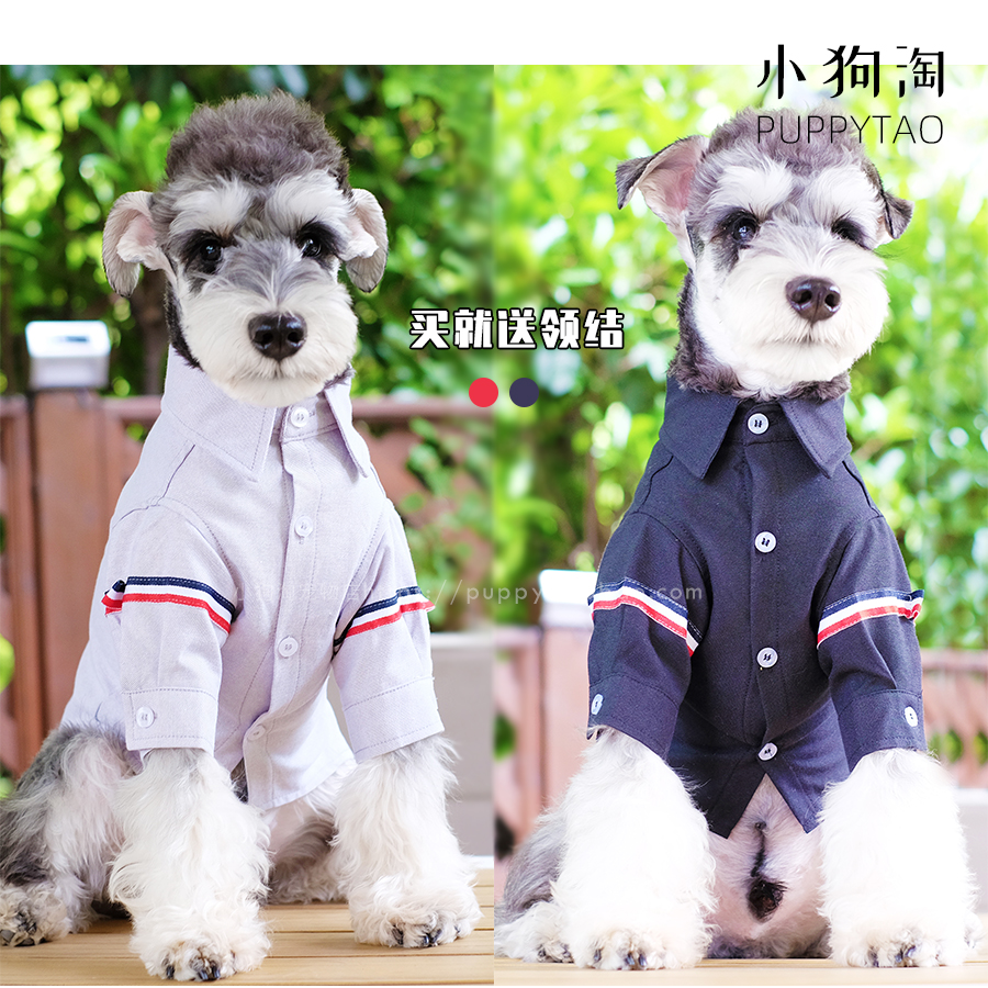 Boomer Dog Clothes Teddy Men's Mini Dogs Bibear Bill Fighting Snownery Pure Cotton Shirt Spring Loaded Pet Cat Clothing