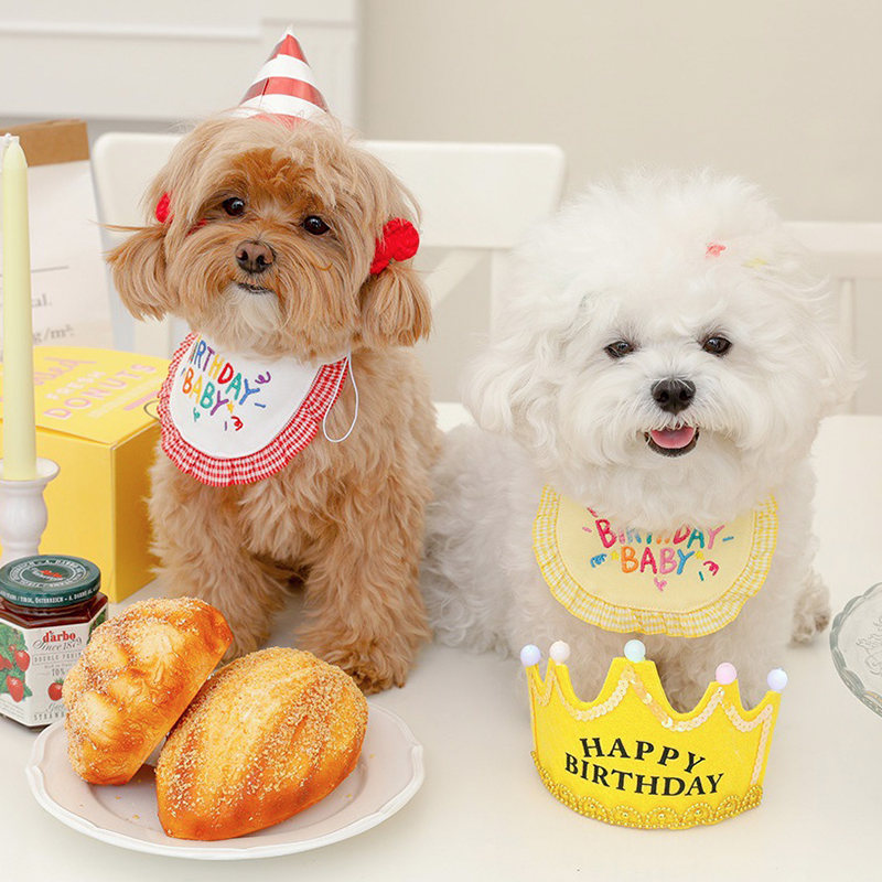 INS Korea birthday embroidery pet cat and dog saliva towel Teddy Bichon Bo gold wool doll bib scarf