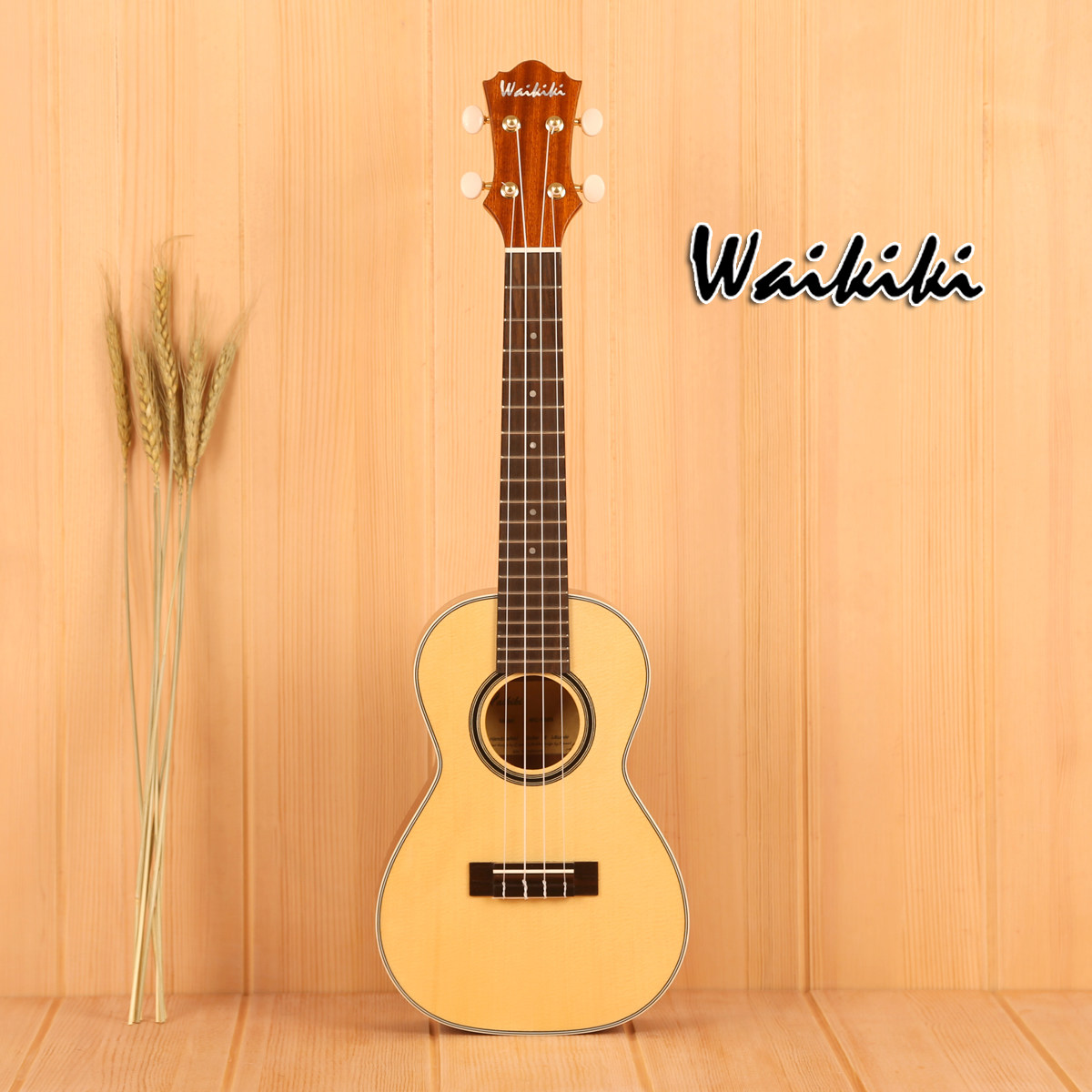 Waikiki WS-150S WC-150S Full Vertical Spruce Ukril 21 inches 23 inches