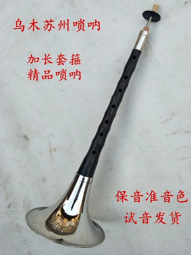 Музыкальные инструменты для детей и взрослых для начинающих, профессиональный медный мегафон, полный комплект