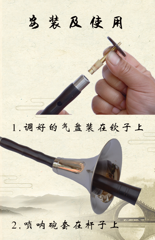 Trường trung học chuyên nghiệp treble mun pipa cụ đầy đủ bộ GCDEF thả B cấp độ kiểm tra người mới bắt đầu nhập cảnh sừng - Nhạc cụ dân tộc đàn cổ tranh