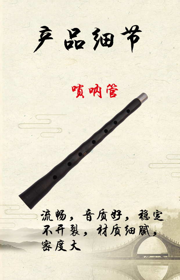Trường trung học chuyên nghiệp treble mun pipa cụ đầy đủ bộ GCDEF thả B cấp độ kiểm tra người mới bắt đầu nhập cảnh sừng - Nhạc cụ dân tộc đàn cổ tranh