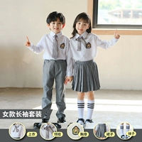 Женский серый костюм плюс покупка предпочтительной доставки