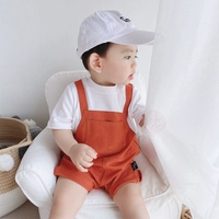 Коротко -северный бай -штифт оранжевый псевдо