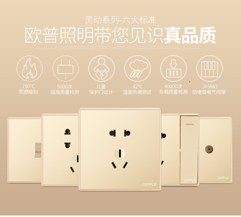 金色大翘班_r2_c1.jpg