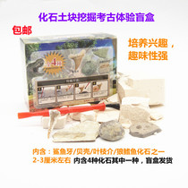 Natural archaeological excavation toys mineral fossils stone clods educational childrens gifts crystal ore blind box
