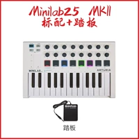 Mini Lab25mkii White+педали