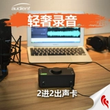 Audient Evo4 Внешний USB Eating Sound Card ASMR Запись