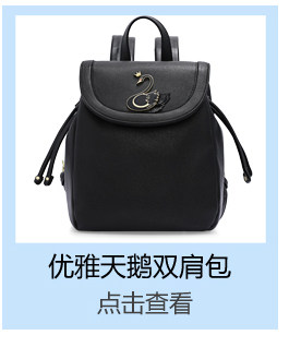 Sac pour homme - Ref 49862 Image 26