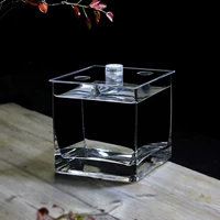 15 квадратных цилиндров обнаженные резервуары отправляют крышку и электронную лампу