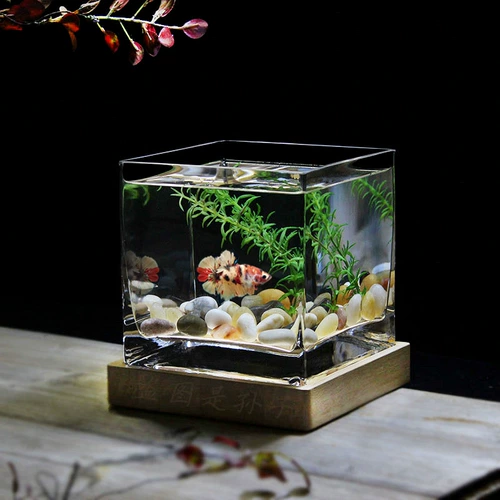 Русалочная квадратная квадратная интегрированная аквариума сгущенным на рабочем столе борьба с рыбой резервуар золотой рыбка танка домохозяйственная гидропонная посуда ваза цветок цветок большой