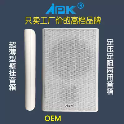 APK new ultra-thin wall mounted speaker professional speaker radio audio wall speaker classroom speaker
