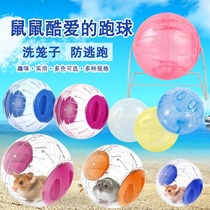 Carno Karno Harden Golden Pig Gurn Roll Ball with Sports Runway 12cm14 5cm18 5cm