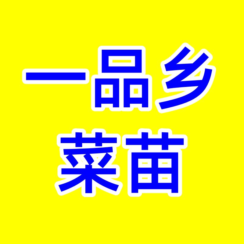 一品乡菜苗