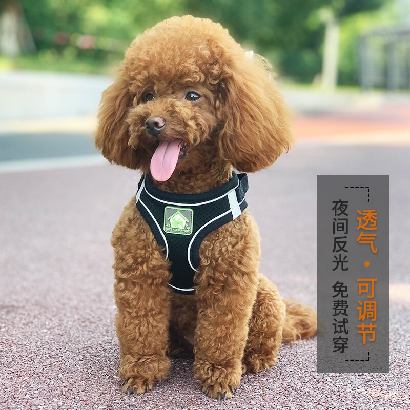 Dog traction rope vest style teddy small dog big-buggy cuddling with baby bag puppies puppies DOG ROPE DOG NECKLACE