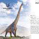 In Stock, Good Quality, Longgu Brachiosaurus, Long-Necked Giant Dinosaur, Jurassic Herbivorous Dinosaur Toy Model, Figurine, Ornament, 1/35 Scale