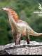 Authentic Hailong Valley Amargasaurus Pterosaur Jurassic Dinosaur Animal Figure Model Gift Ornament 1/35