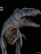 Globally Licensed Dino Dream Jurassic World Giganotosaurus Figurine Model Collectible 1/30