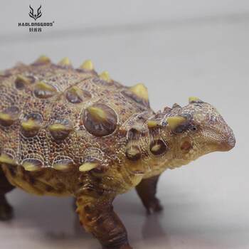 Authentic Haolong Valley Tianzhen Ankylosaurus Lizard Jurassic Dinosaur Animal Children's Toy Gift Static Model 1/35