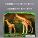 Simulated animal model fantasy forest wild animal tiger elephant rhinoceros zebra giraffe toy gift box