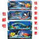 Kidsren's Gifts Marine Animal Toys Great White Shark Killer Whale Octopus Dolphin Toy Model Gift Box