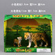 Simulated animal model fantasy forest wild animal tiger elephant rhinoceros zebra giraffe toy gift box