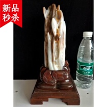 Billion-year-old tree jade ornaments fine tree fossils partial ice species wood grain floating flowers new products special price