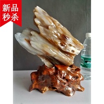 Yu Hengxuans collection of high-quality Deborah pit high ice tree jade ornaments wood jade special price