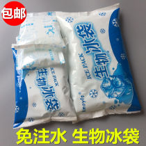 No need for water injection bio-ice bags repeatedly use summer refreshing refrigerated fruit food delivery transport ice cubes cold compress