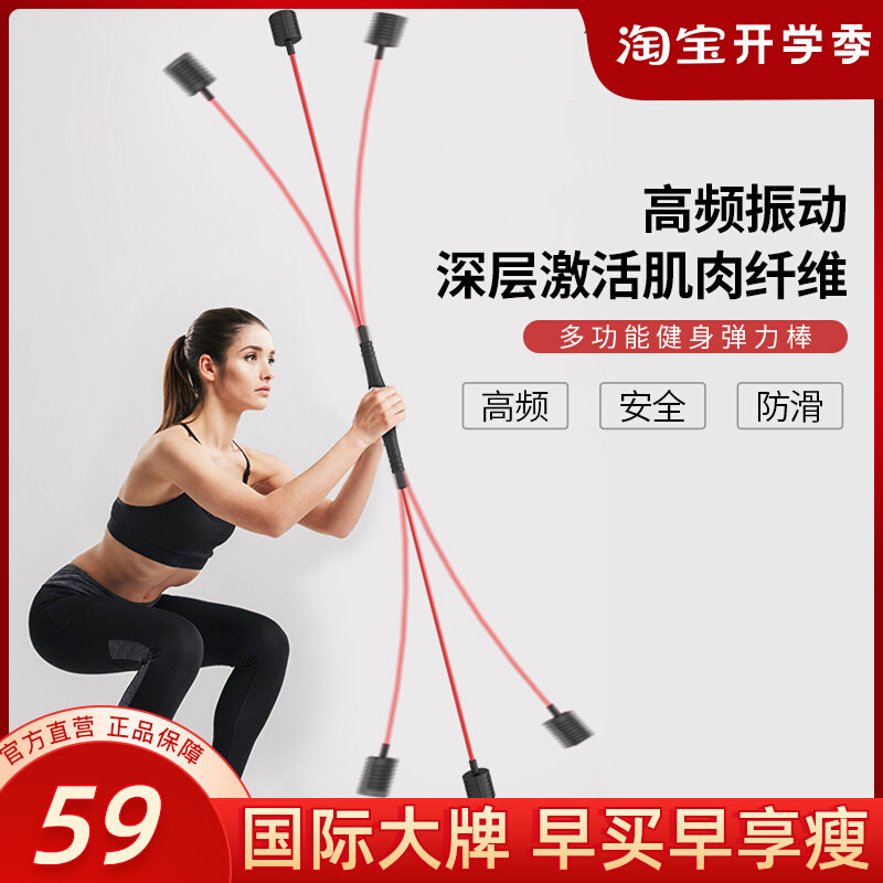 MONICAFIT MULTIFUNCTION TRAINING ROD PHILIS FITNESS ELASTIC STICK FLY LIZ Grease Shock 502 