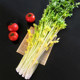 Pingdu Majiagou celery Shandong Qingdao specialty big leaf yellow glass crisp family pack fresh vegetables SF