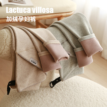 Pregnant women leggings autumn and winter cotton plus velvet wear 3-9 months cross belly pants maternity winter wear