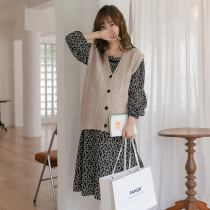 Autumn new maternity dress loose size Belly Belly slim knitted cardigan foreign-aged V-collar vest tide L9970