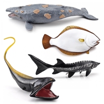 Cross-border simulated marine animal gray whale broad-throated eel Chinese sturgeon European flounder model decorative ornaments toy