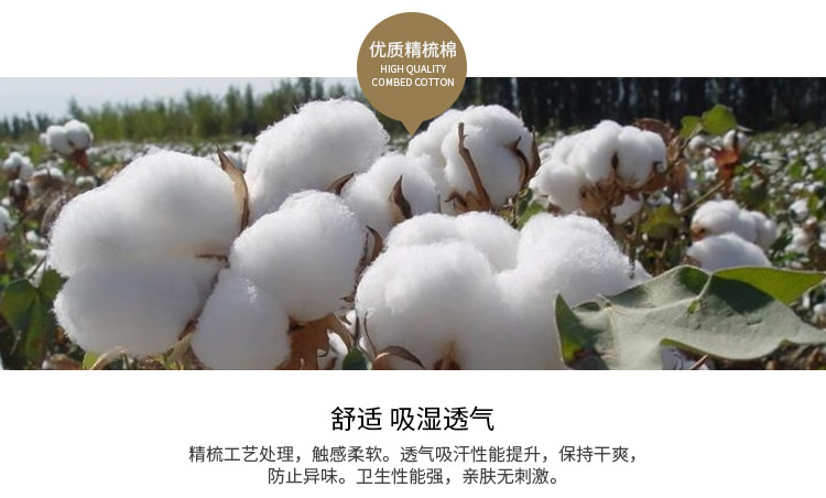 Hộp quà tặng Nam Thể Thao Vớ Cotton Màu Tinh Khiết Mồ Hôi Khử Mùi Breathable Hollow Vớ Sinh Viên Thuyền Vớ