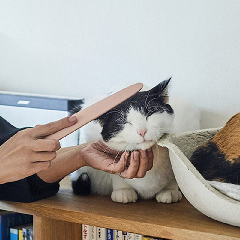 White hog store Cat Groomer Japan imported cat tongue comb kitty special comb comb brush supplies massage