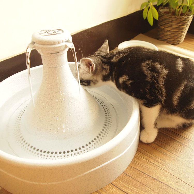 White Pig Store Drink Well Water Drinkwell Pet Water Dispenser Cat Dog Water Drinker Water Bowl Flowing