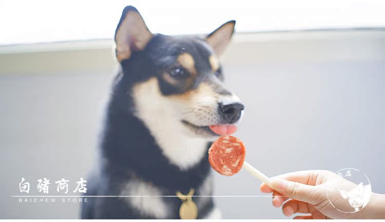 White Pig Shop Nhật Bản Doug Man Thịt bò Cheese Cheese Pet Snack Dog Snack Phần thưởng - Đồ ăn vặt cho chó thức ăn chó royal canin