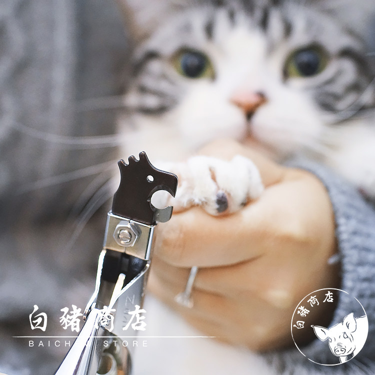 White Swine Store Japan imports ZAN beheaded cat dog pet nail knife tiger scissors special artifacts