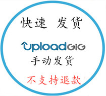 (Manual delivery) uploadglg Premium premium privilege upgrade 100G data day
