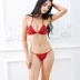 Bikini ba điểm sexy đồ lót trong suốt ren hở đáy quần ren lưới ba điểm đam mê bộ đồ - Bikinis