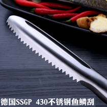 SSGP430 stainless steel scale planing scraper scaler scaler scaler scaler fish knife fish brush
