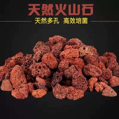 Natural aquarium filter material Large volcanic stone Parrot arhat tank paving bottom color fleshy paving Volcanic rock