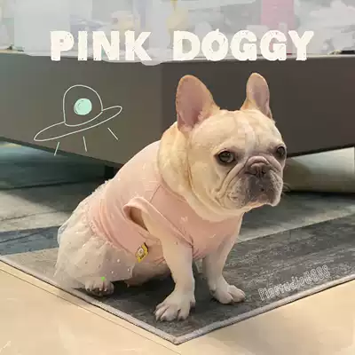 PIN 2021SS pet ai xin qun