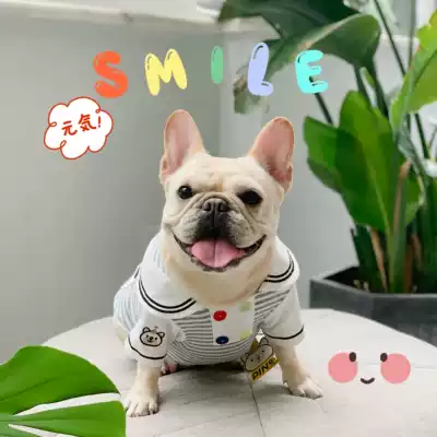 PIN 2021SS Simle Uniform Pets clothes