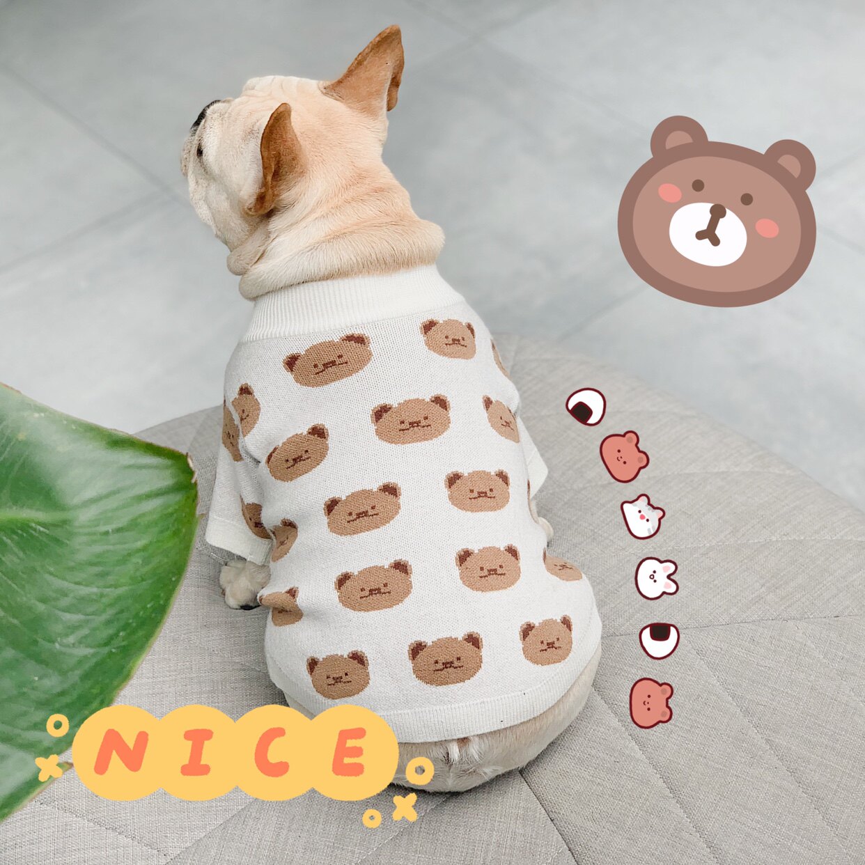 PIN 2020AW White Bear Pet Sweter